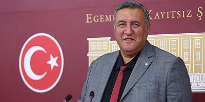 Gürer: “Üretici, çiftçi, besici icralık”