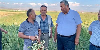 Gürer: Üretici-çiftçi borcunu ödeyemeyince icra kapıda