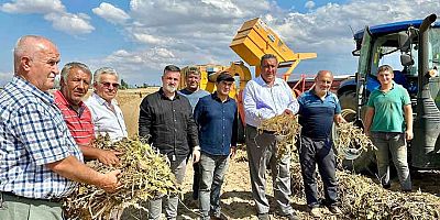 Gürer: “Üretici de düşen fiyatlar neden marketlere yansımıyor?”