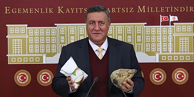 Gürer: “Üretici girdiler düşmezse şeker pancarı ekmekte kararsız”