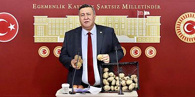 Gürer: “Üretici perişan, iktidar sadece seyrediyor”