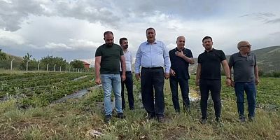 Gürer: “Üreticinin yanında bir iktidar yok”