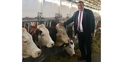 Gürer: “USK’nin çiğ süt kararı hayvancılığa darbe vuracaktır”