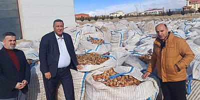 Gürer: “Vatandaş Soğanın Kilosunu 20 Liraya Alırken Tonlarca Soğan Hayvan Yemi Oldu”