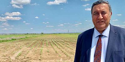 Gürer: “Verimli tarım arazilerinin yabancılara satışı sınırlandırılmalıdır”