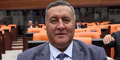 Gürer: “Veteriner hekimlerin hak kayıpları giderilsin”