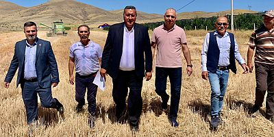 Gürer: “Yaban domuzu çiftçinin korkulu rüyası oldu”