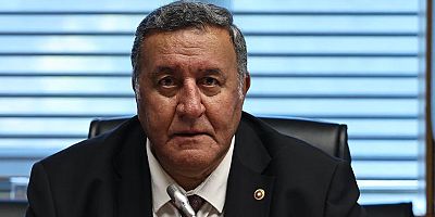 Gürer: “Yaban hayatı korunmalı, ranta kurban edilmesin”