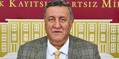 Gürer: “Yabancı seçmenler hakkındaki sorular yanıtsız kaldı”