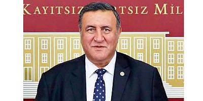 Gürer: “Yanız ve yaşlı bakımı için yeni düzenlemeler yapılmalı”