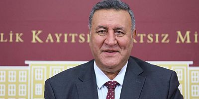 Gürer: “Yaş çay alım fiyatına ek destek verilmelidir