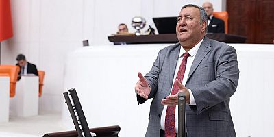 Gürer: Yaşlı nüfus, borçlu ve mutsuz