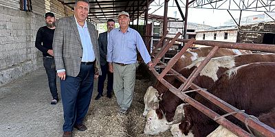 Gürer: “Yem fiyatındaki artış durmadan, et ve sütte sorun bitmez”