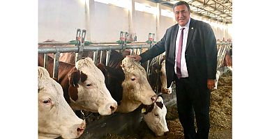 Gürer: “Yem fiyatlar artıkça hayvancılık bitiyor”