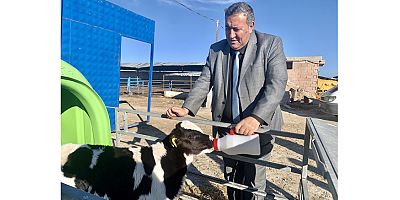 Gürer: “Yem fiyatları düşmezse et ve süt fiyatları artar”