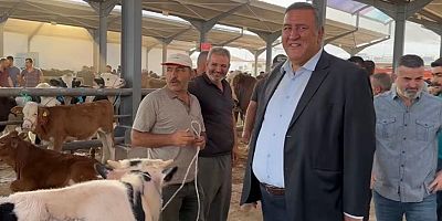 Gürer: “Yem fiyatlarındaki artış üreticiyi bunaltmış ”