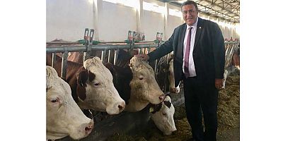 Gürer: “Yerli sığır ırkları yok olma tehlikesiyle karşı karşıya” 