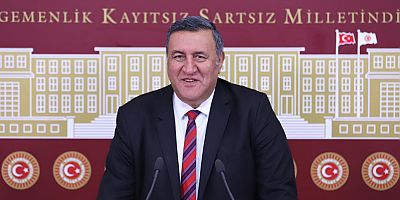 Gürer: “Yerli Yoğurt Mayası Projesinden 8 yıldır ses yok”