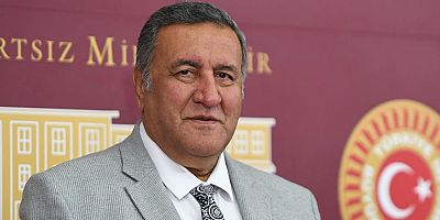 Gürer: “Yeşil Erik Gram Altını Solladı”