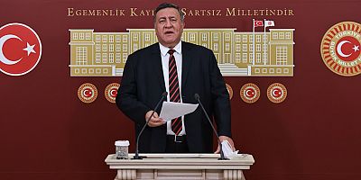 Gürer: Yetkili araç servislerinde ciddi artışlar görülüyor