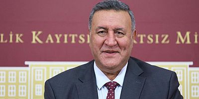 Gürer: “Yoksulluk doğalgaza eriştirmiyor”