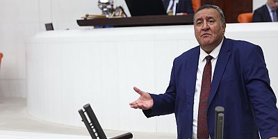 Gürer: Zeytinde de  hasatta sorun var