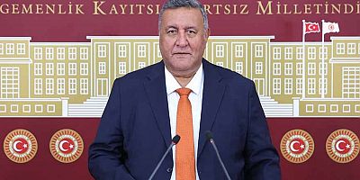 Gürer: “Zeytine sahip çıkılmalıdır”