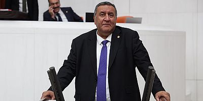 Gürer: “Zeytinliklere kıymayın”