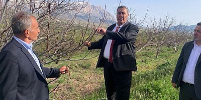 Gürer: “Zirai don etkisinin farkına varılmalıdır”