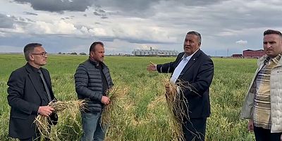 Gürer: “Zirai don felaketi ile herkesim darbe yedi”