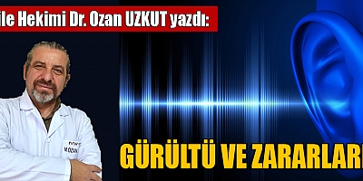 GÜRÜLTÜ VE ZARARLARI