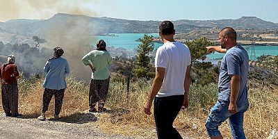 Güzelyalı ve Seydiler'deki yangınlar kontrol altına alındı