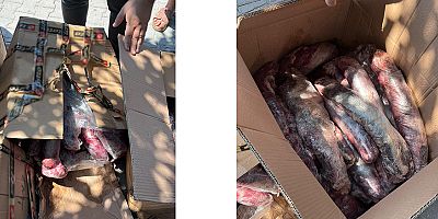 Halk sağlığını tehdit eden 300 kilogram et imha edildi