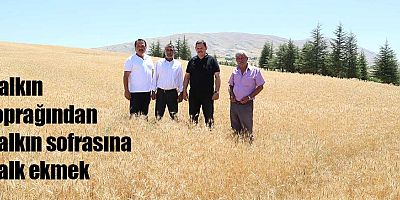 Halkın toprağından halkın sofrasına halk ekmek