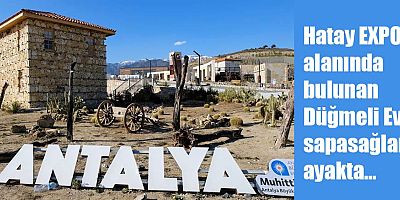 Hatay EXPO alanında bulunan Düğmeli Ev sapasağlam ayakta