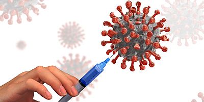 Havucum.com’un COVID-19 aşısı ile ilgili yeni anketine katılanların yüzde 70’i aşı olduğunu paylaşıyor