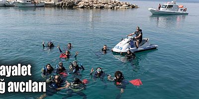 Hayalet ağ avcıları