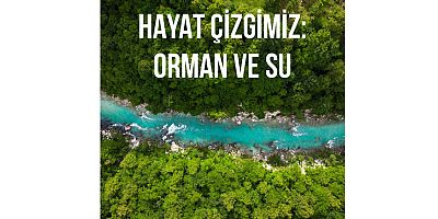 Hayat çizgimiz: Orman ve Su