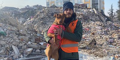 HAYDİKO deprem bölgesindeki hayvanlara yem desteği için çağrıda bulunuyor