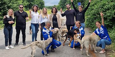 HAYTAP İş Birliği ile Patili Dostlarımıza 1 Ton Mama Yardımı!