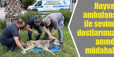 Hayvan ambulansı ile sevimli dostlarımıza anında müdahale