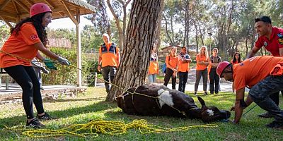 Hayvan Arama Kurtarma Eğitimi