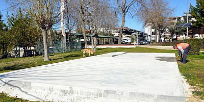 Hayvan sevgisi engelleri aşacak