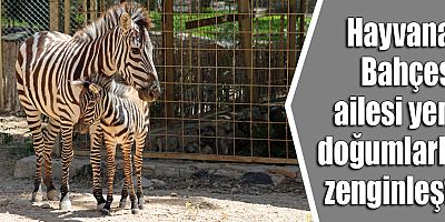 Hayvanat Bahçesi ailesi yeni doğumlarla zenginleşti