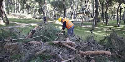 Hayvanat Bahçesi’ne kış bakımı