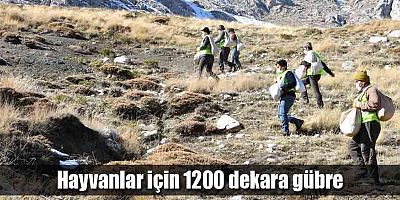 Hayvanlar için 1200 dekara gübre
