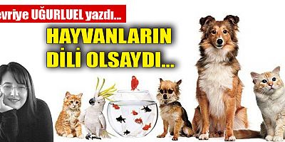 HAYVANLARIN DİLİ OLSAYDI…
