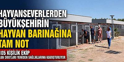 Hayvanseverlerden Büyükşehirin hayvan barınağına tam not 