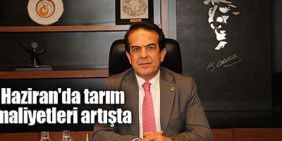 Haziran'da Tarım Maliyetleri Artışta