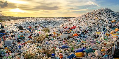 Her 3 balıktan 1’inde plastiğe rastlanıyor!